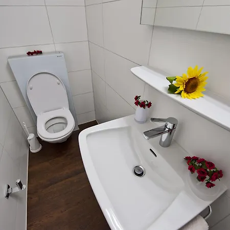 Channa Saas-Almagell