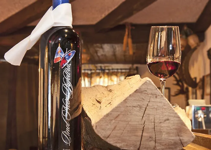 Aparthotel Channa 3*