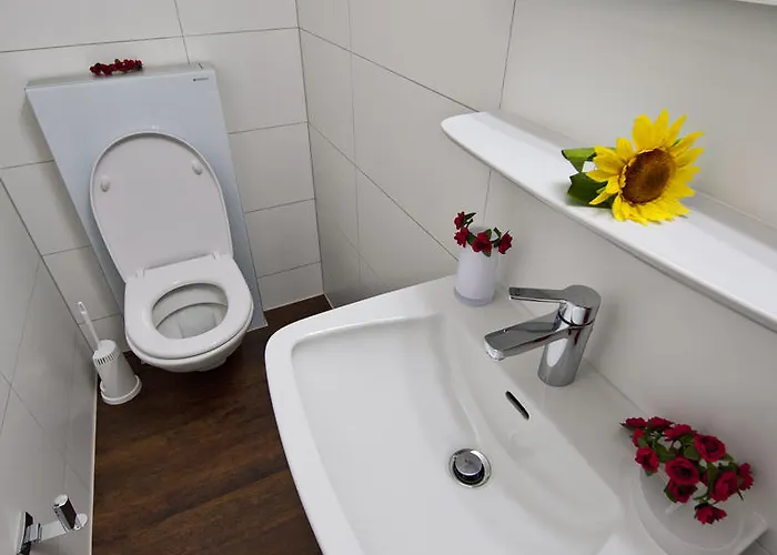 Channa Saas-Almagell