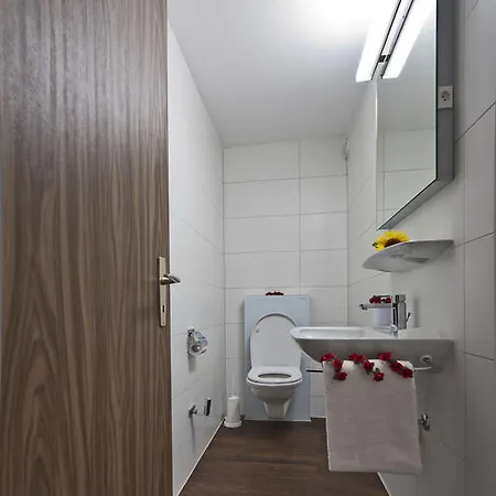 Hotel apartamentowy Channa Saas-Almagell
